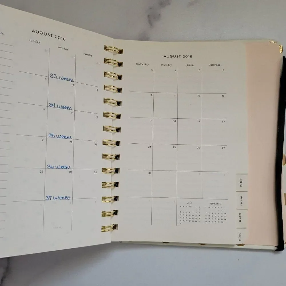 Kate Spade planner polka dot schedule organizer of
